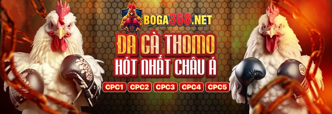 Hướng dẫn và mẹo chơi vua88